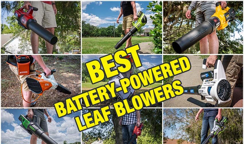 Best Cordless Leaf Blower Reviews